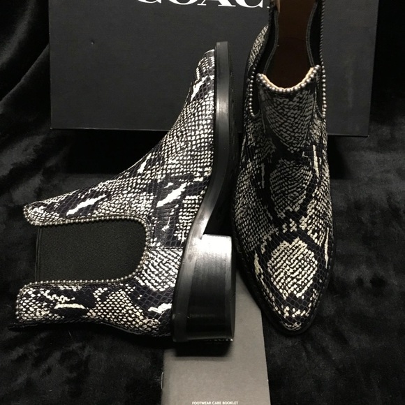 Coach - Picture 2 of 5